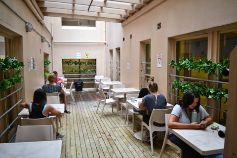 Maze Backpackers - Sydney - Sunshine Coast Tourism 3