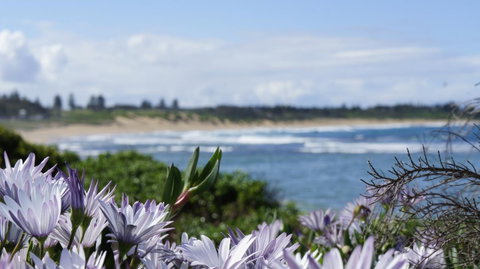Blue Lagoon Beach Resort - Sunshine Coast Tourism 18