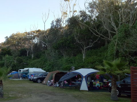 Blue Lagoon Beach Resort - Sunshine Coast Tourism 19