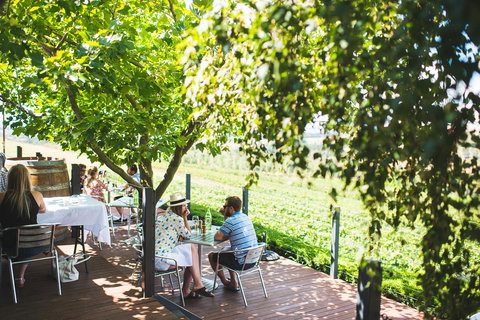 Borrodell Vineyard - Sunshine Coast Tourism 6