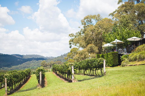 Borrodell Vineyard - Sunshine Coast Tourism 12