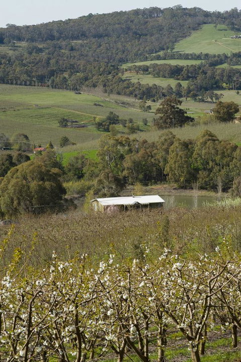 Borrodell Vineyard - Sunshine Coast Tourism 30