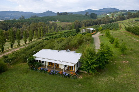 Borrodell Vineyard - Sunshine Coast Tourism 2