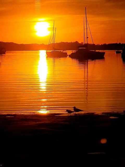 Marina Resort - Sunshine Coast Tourism 3