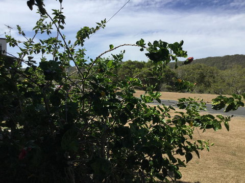 Hat Head Beach Cottage 1 - Holiday Sunshine Coast 2
