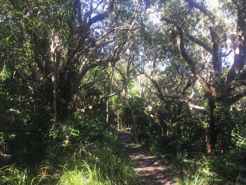 Hat Head Beach Cottage 1 - Holiday Sunshine Coast 24