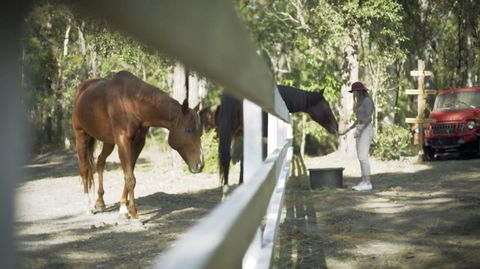 The Woods Farm Jervis Bay - Sunshine Coast Tourism 13
