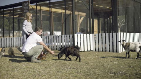 The Woods Farm Jervis Bay - Sunshine Coast Tourism 14