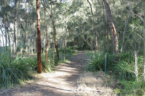 The Edgewater On Greville - Holiday Sunshine Coast 35