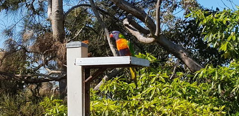 The Edgewater On Greville - Holiday Sunshine Coast 15