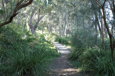 The Edgewater On Greville - Holiday Sunshine Coast 33
