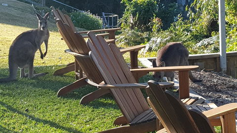 The Edgewater On Greville - Holiday Sunshine Coast 18