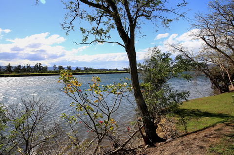 Terara Riverside Retreat - Sunshine Coast Tourism 27