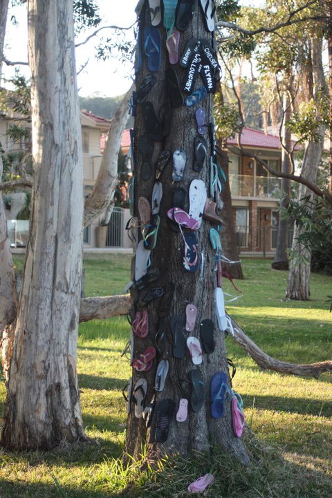 Ambience - Holiday Sunshine Coast 33