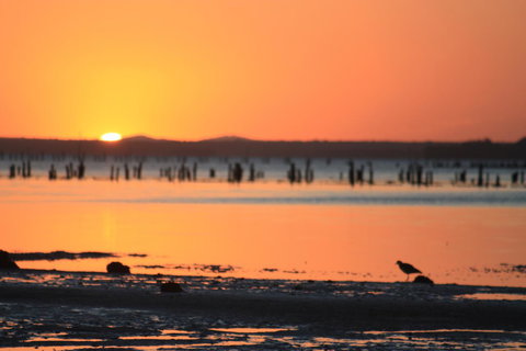 Ambience - Holiday Sunshine Coast 35