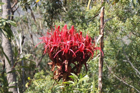 Ambience - Holiday Sunshine Coast 30