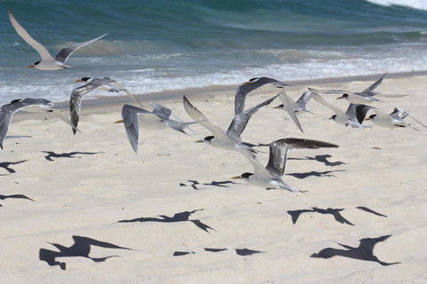 Ambience - Holiday Sunshine Coast 32