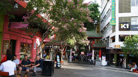 Dixon Residences - Holiday Sunshine Coast 32