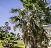 Allonville Gardens Motel - Holiday Sunshine Coast