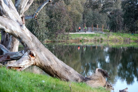 Mercure Albury - Holiday Sunshine Coast 15