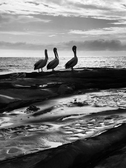 Waterview Beach Apartment - Sunshine Coast Tourism 28