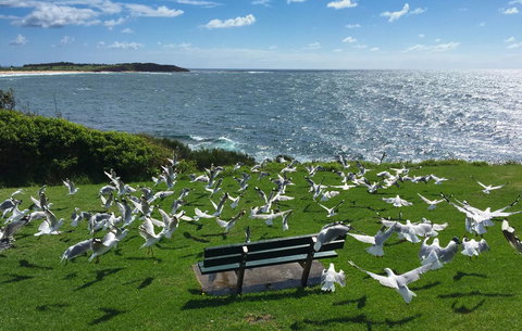 Waterview Beach Apartment - Sunshine Coast Tourism 25