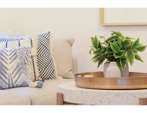 Huge Garden Apartment In The Heart Of Bondi Beach - Sunshine Coast Tourism 16