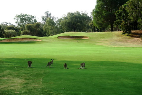 Mulwala Resort - Sunshine Coast Tourism 40