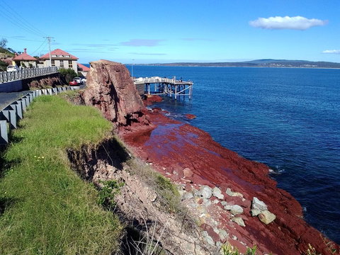 Como Lodge - Sunshine Coast Tourism 19