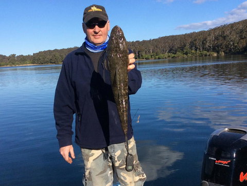 Como Lodge - Sunshine Coast Tourism 22