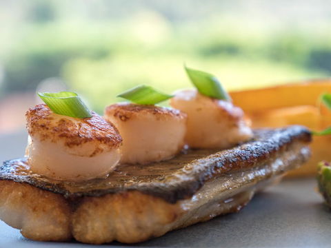 Lithgow Workies Club Motel - Sunshine Coast Tourism 38