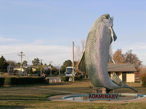 Cooma Motor Lodge Motel - Sunshine Coast Tourism 19