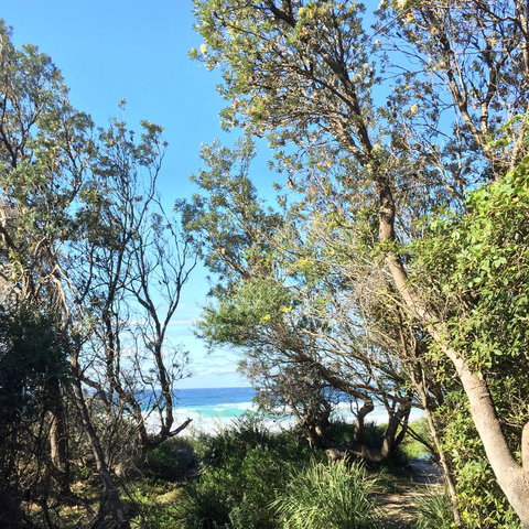 Salthouse Berrara - Sunshine Coast Tourism 22