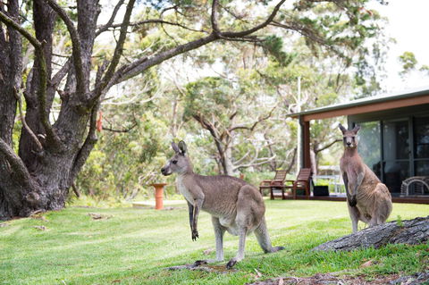By The Beach B&B Self Contained Apartments - Sunshine Coast Tourism 17