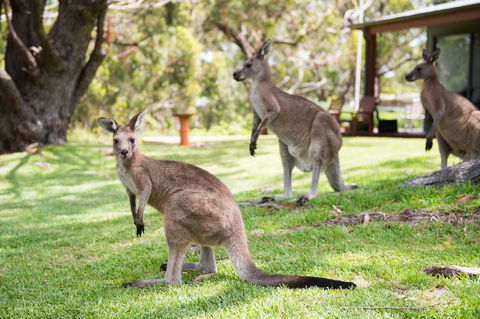 By The Beach B&B Self Contained Apartments - Sunshine Coast Tourism 16