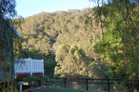 Cadair Cottages - Sunshine Coast Tourism 16