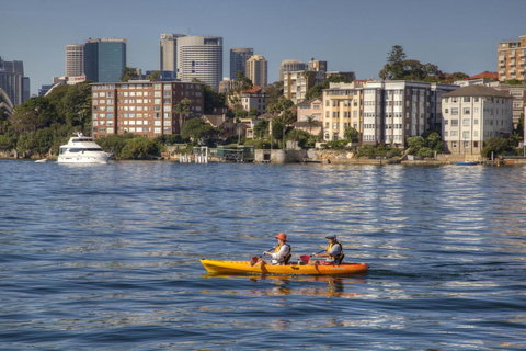 Summery, Spacious 4 Bed Home In Kurraba Point - Holiday Sunshine Coast 19
