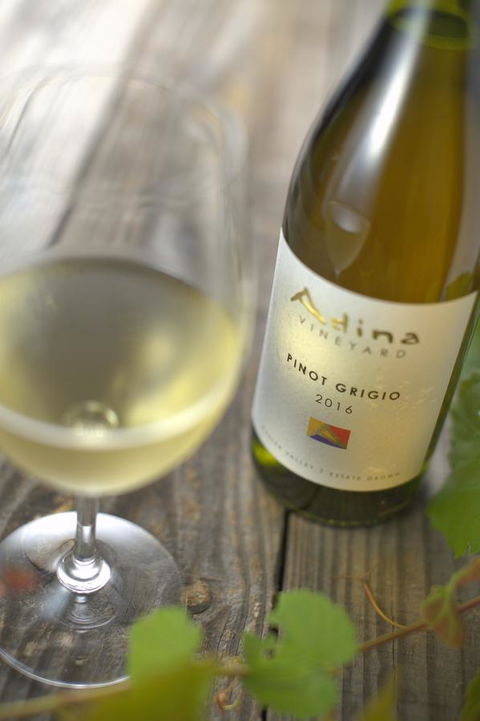 Adina Vineyard - Sunshine Coast Tourism 7
