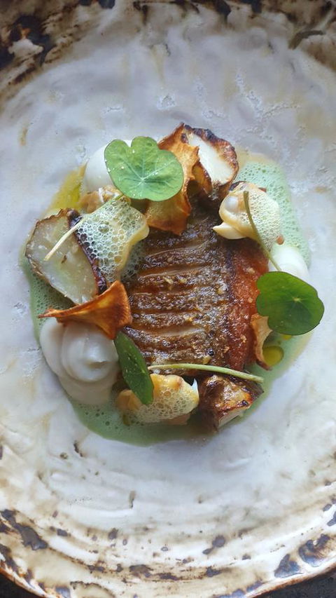 Adina Vineyard - Sunshine Coast Tourism 3