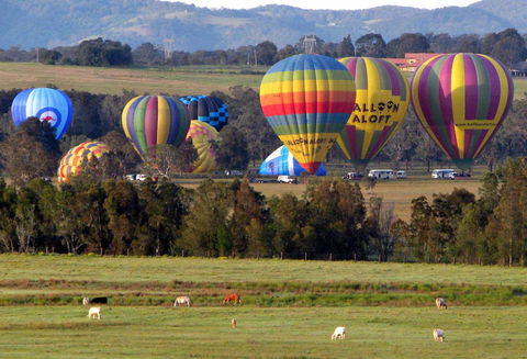 Adina Vineyard - Sunshine Coast Tourism 9