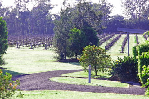 Adina Vineyard - Sunshine Coast Tourism 14