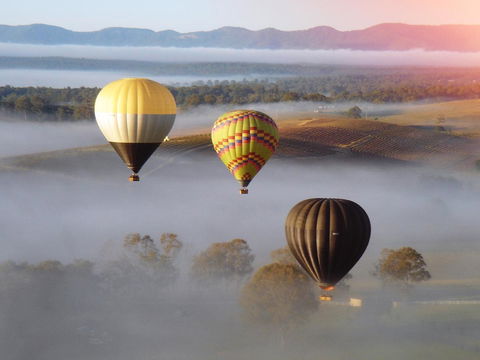 Adina Vineyard - Sunshine Coast Tourism 21