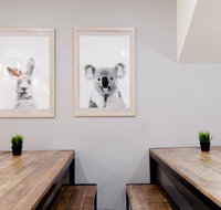 Mad Monkey Backpackers on Broadway - Sunshine Coast Tourism