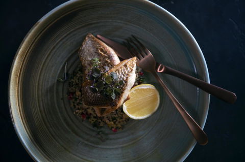 Mercure Sydney - Sunshine Coast Tourism 42