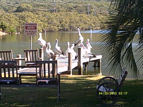 Pelican H2O One & Two Bedroom Apartments - Sunshine Coast Tourism 9