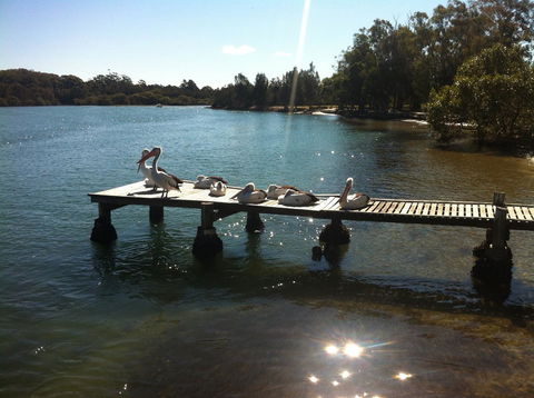 Pelican H2O One & Two Bedroom Apartments - Sunshine Coast Tourism 5