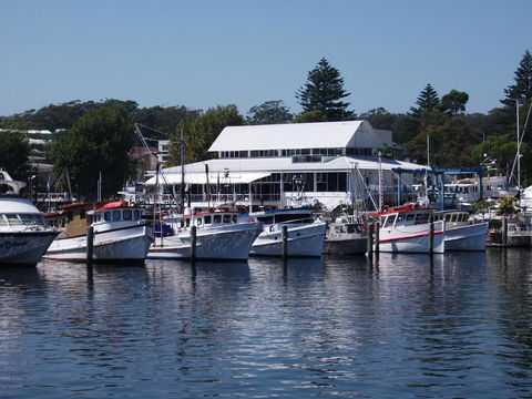 Tomaree Lodge - Sunshine Coast Tourism 13