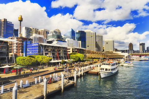 Vibe Hotel Sydney Darling Harbour - Sunshine Coast Tourism 12