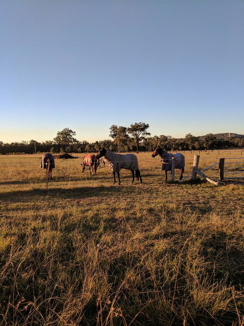Madigan Wine Country Cottages - Sunshine Coast Tourism 8
