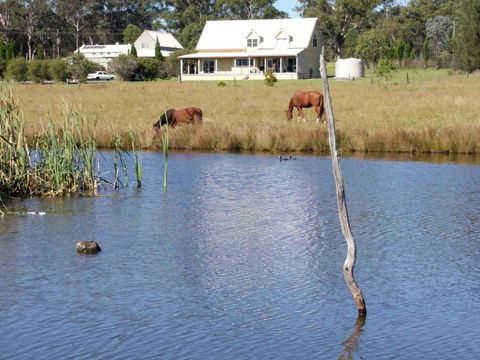 Madigan Wine Country Cottages - Sunshine Coast Tourism 2